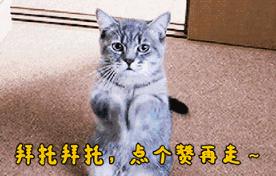 炉石传说猎人卡组_炉石传说猎人卡组2025
