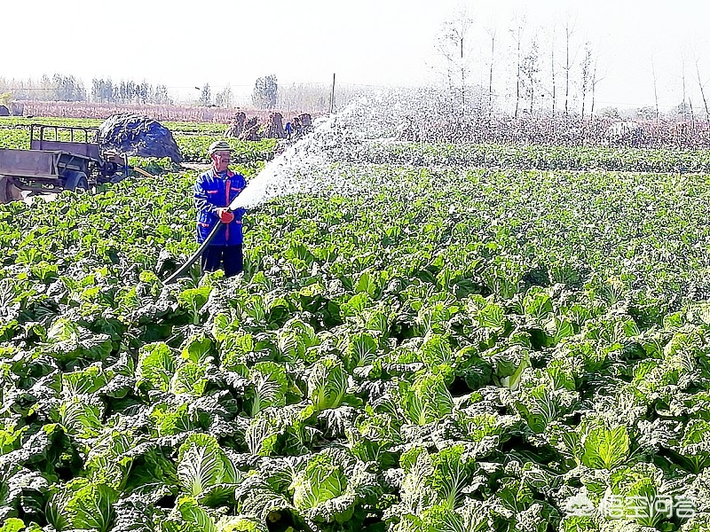 蚂蚁庄园11月4日答案最新_蚂蚁庄园11月4日答案最新版