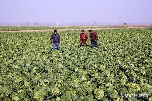 蚂蚁庄园11月4日答案最新_蚂蚁庄园11月4日答案最新版