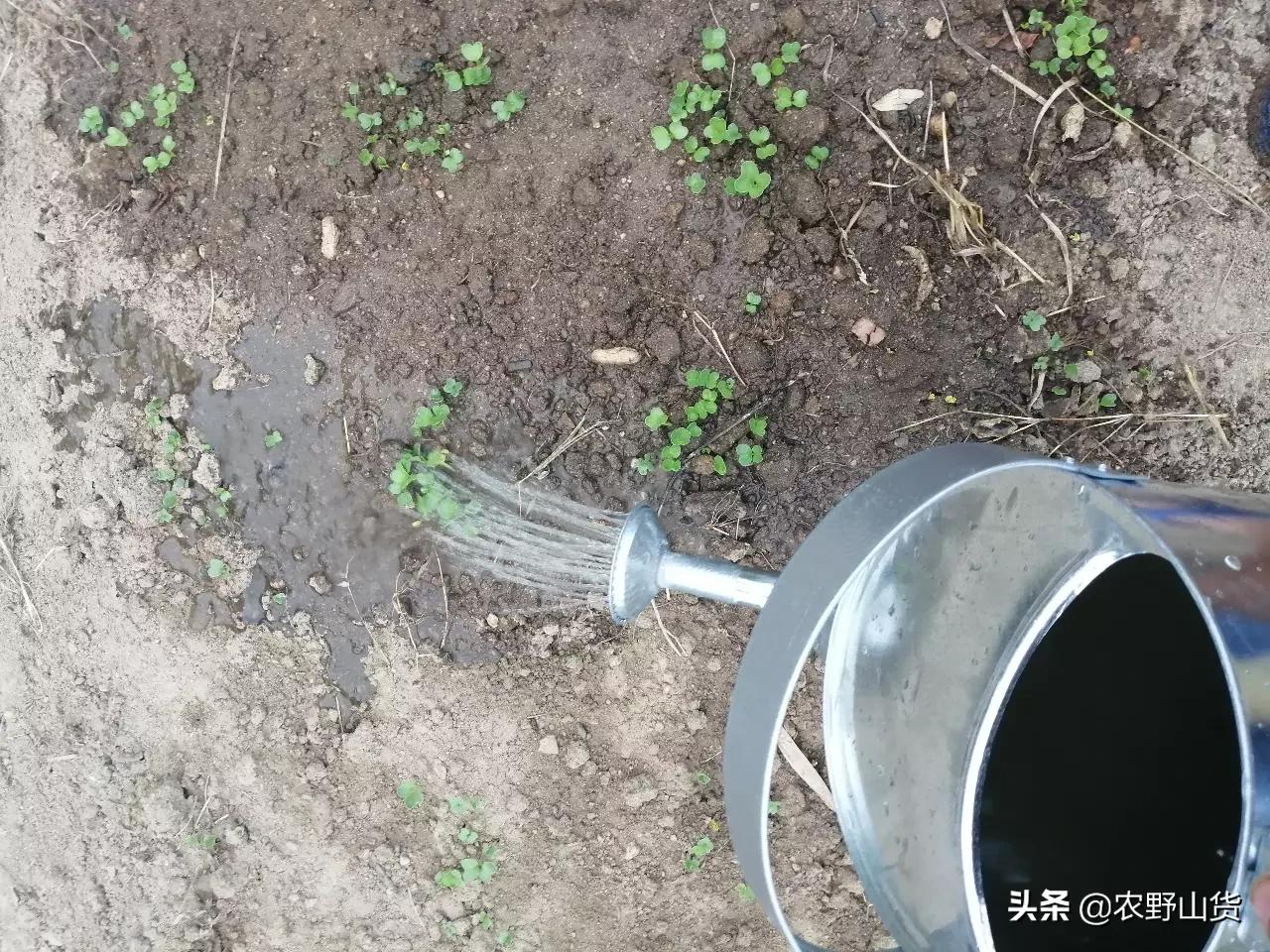 蚂蚁庄园11月4日答案最新_蚂蚁庄园11月4日答案最新版