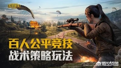 和平精英国际服_和平精英国际服下载
