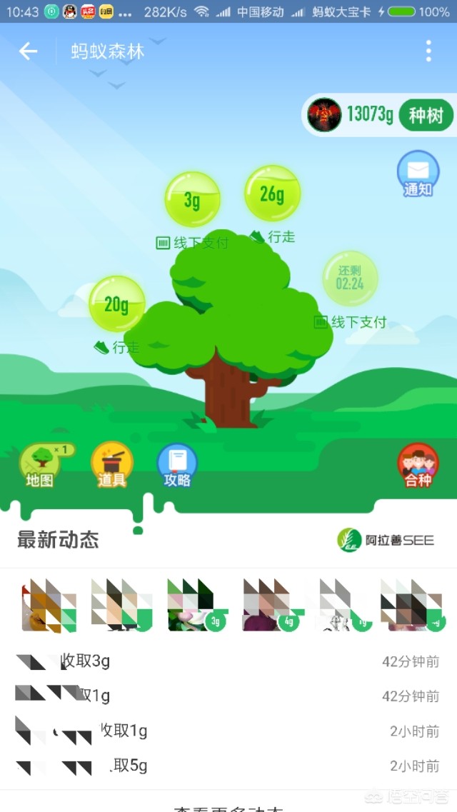 夏季白天出门活动蚂蚁庄园_夏天白天大量出汗是什么原因