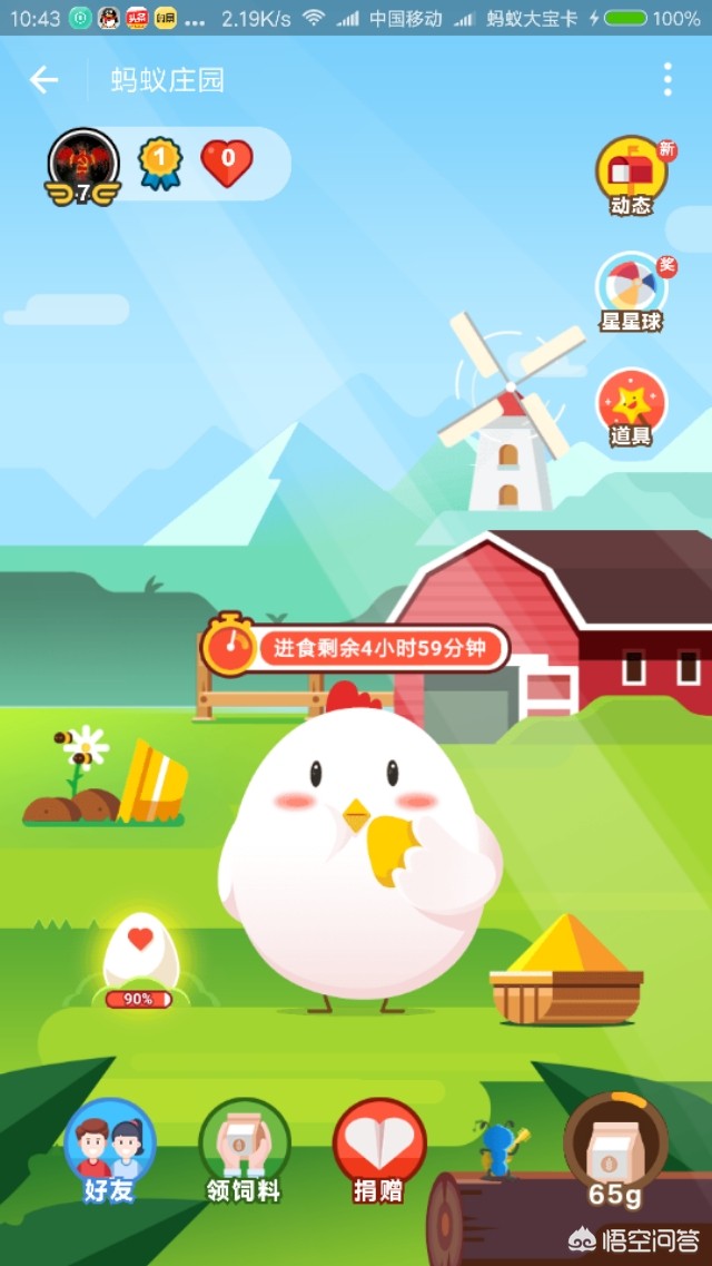 夏季白天出门活动蚂蚁庄园_夏天白天大量出汗是什么原因