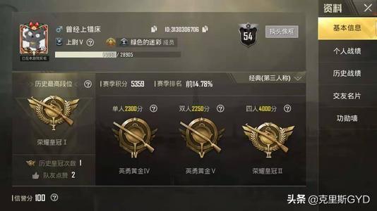 和平精英段位排行_和平精英段位排行从小到大