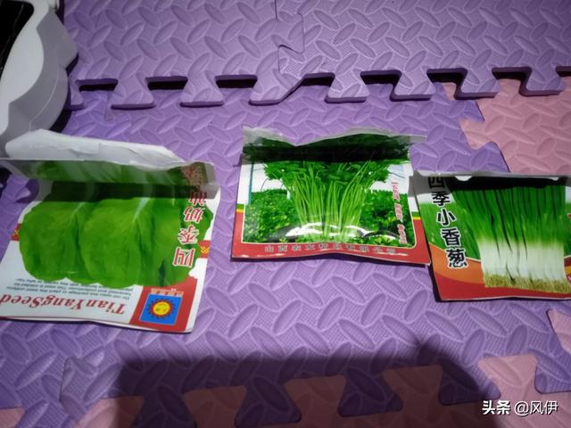 bt种子搜索网站_bt种子搜索网站汇总