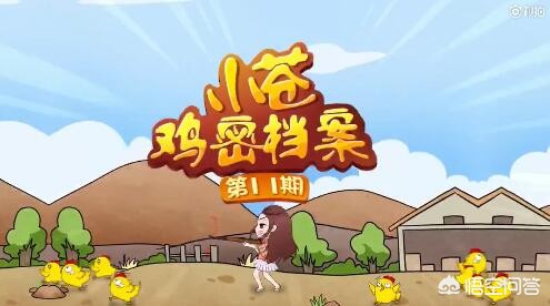 lol小苍_lol小苍怎么消失了