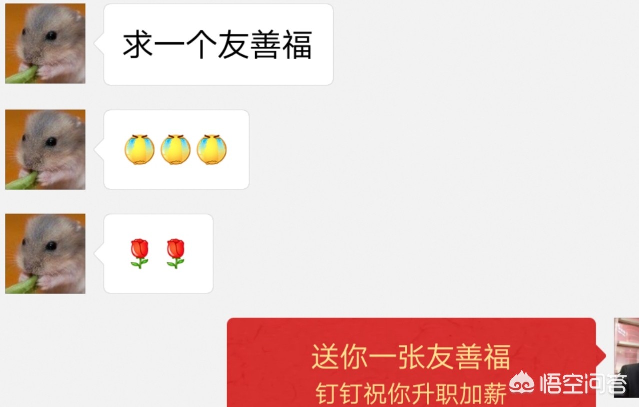 支付宝友善福_支付宝友善福图片