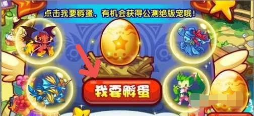 洛克王国宠物蛋怎么孵化_洛克王国宠物蛋怎么孵化出来