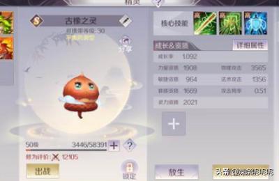 冒险岛林之灵_冒险岛林之灵是什么职业
