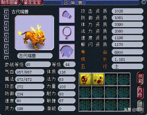 梦幻孩子知识教导_梦幻孩子知识教导有什么用
