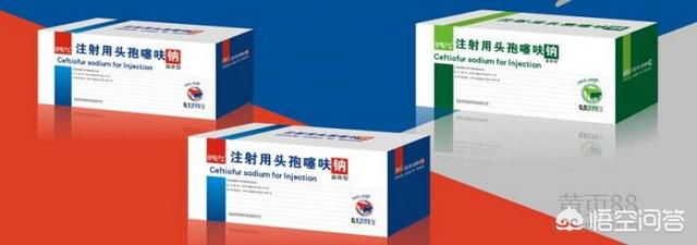 小婴儿逃出系列1攻略_小婴儿逃出系列1攻略全集
