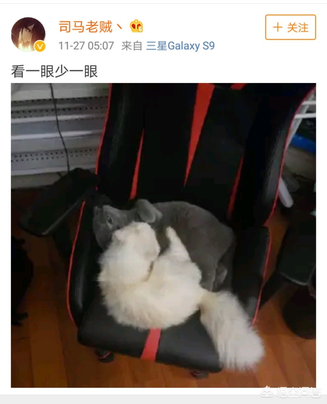 faker微博_FAKER微博叫什么