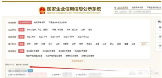 国家企业信息公示系统_