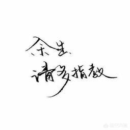 你不在我不在_你不在我不在谁还会在是什么歌