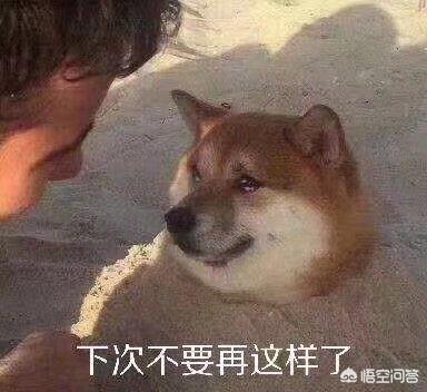 lol情人节_LOL情人节皮肤