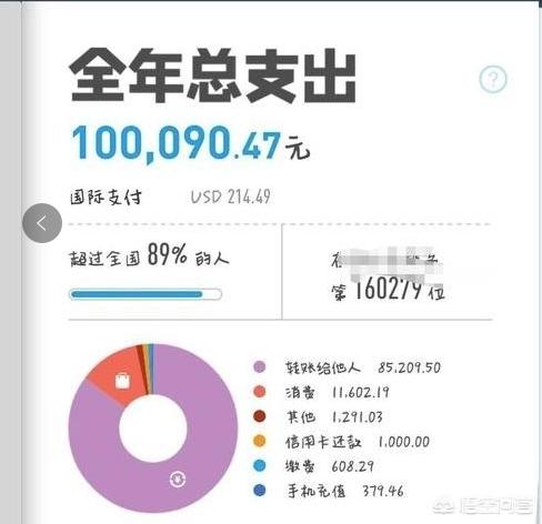 支付宝2017年度账单_支付宝2017年度账单怎么查