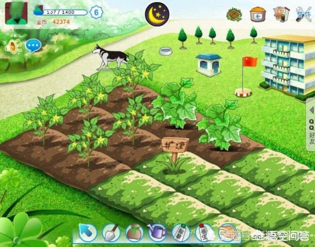 qq农场最新活动_qq农场最新活动在哪里
