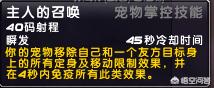 魔兽世界猎人宠物_魔兽世界猎人宠物推荐