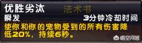 魔兽世界猎人宠物_魔兽世界猎人宠物推荐