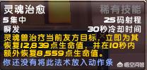 魔兽世界猎人宠物_魔兽世界猎人宠物推荐