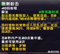 魔兽世界猎人宠物_魔兽世界猎人宠物推荐