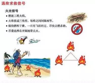 冬季雪封草地动物的救命草是什么_雪灾用大量饲草救助野生动物是否合理