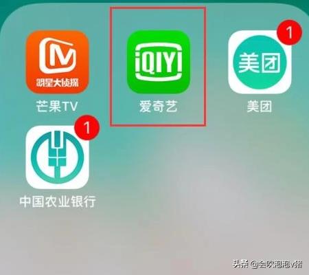 爱奇艺会员登录_爱奇艺会员登录在哪里