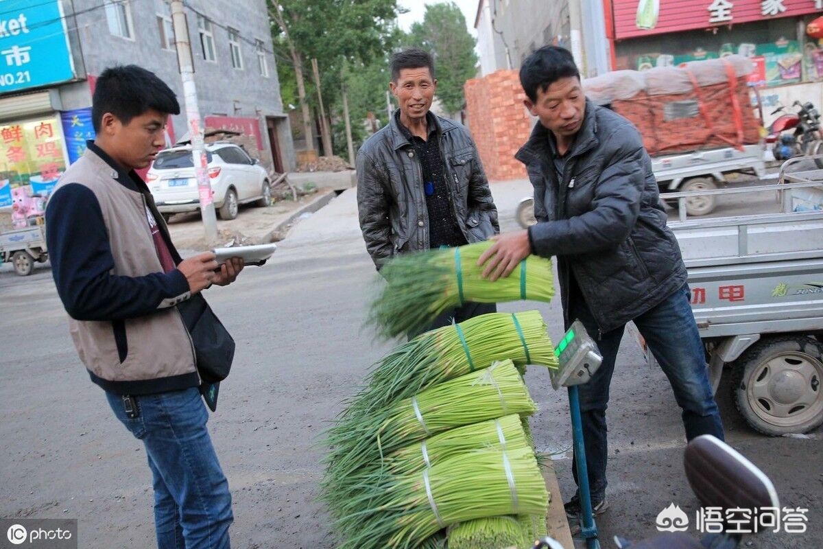 火龙果蚂蚁庄园_火龙果蚂蚁庄园答案