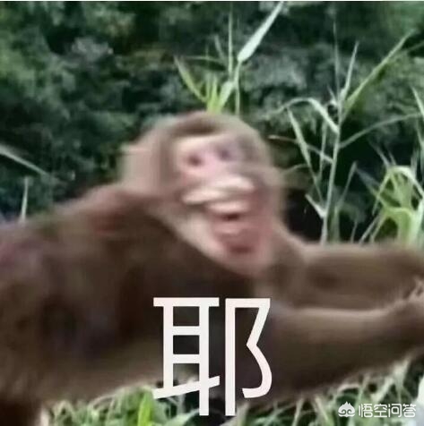 调教美女游戏_