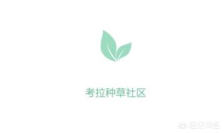 女性种草社区APP_女性种草社区app是什么意思黄黄黄
