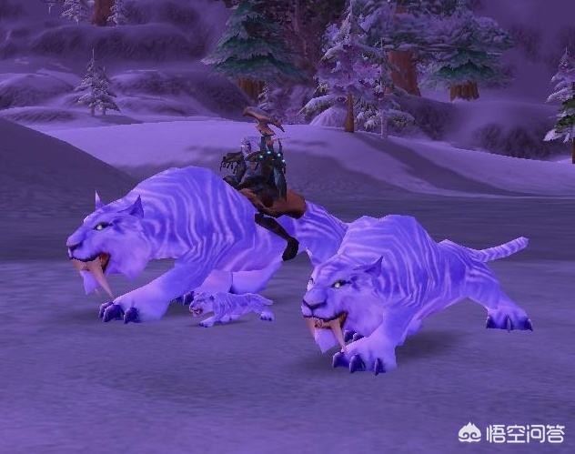 魔兽稀有坐骑_魔兽稀有坐骑排行榜