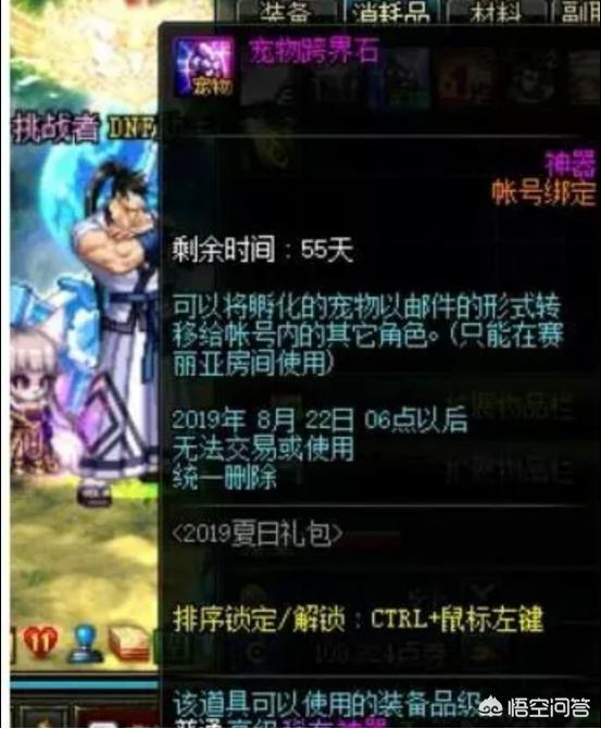 dnf正宗宠物_DNF正宗宠物