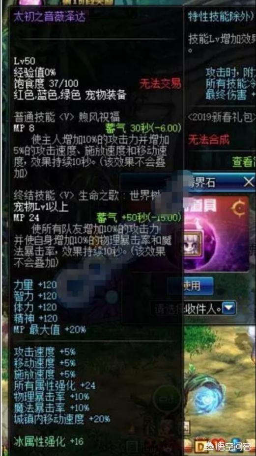 dnf正宗宠物_DNF正宗宠物