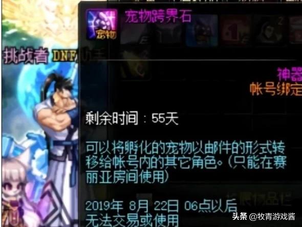 dnf正宗宠物_DNF正宗宠物