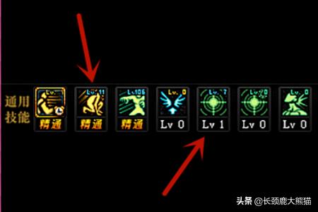 流浪武士加点_流浪武士加点推荐