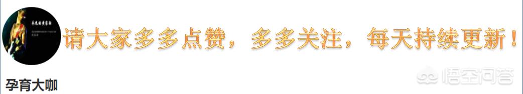 猫咪社区免费资源在线观看_猫咪社区免费资源在线观看下载