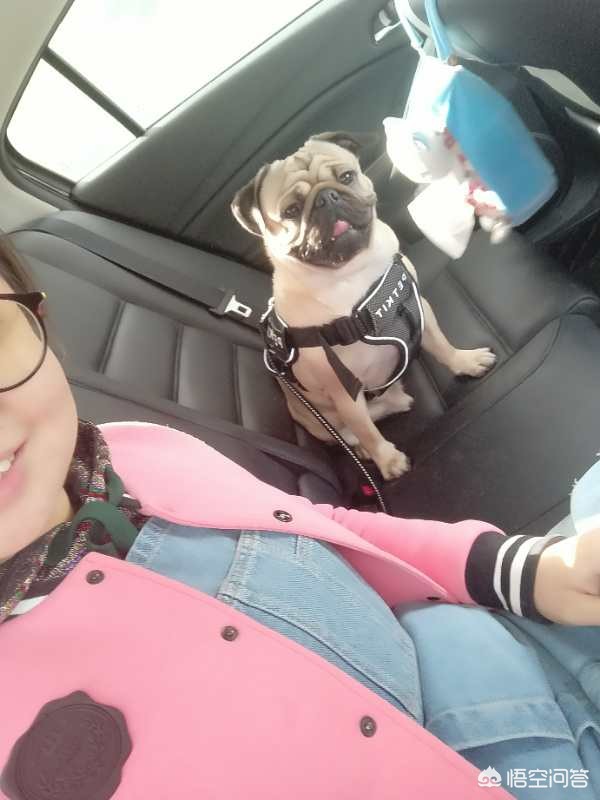 圣旨都是黄色的吗_圣旨都是黄色的吗图片