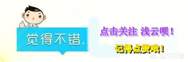 秦时明月少司命_秦时明月少司命图片