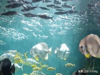 好玩的放置类手游_好玩的放置类手游排行榜