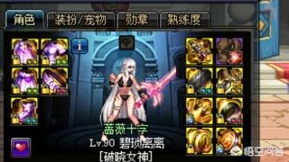 dnf帕拉丁_dnf帕拉丁是什么角色