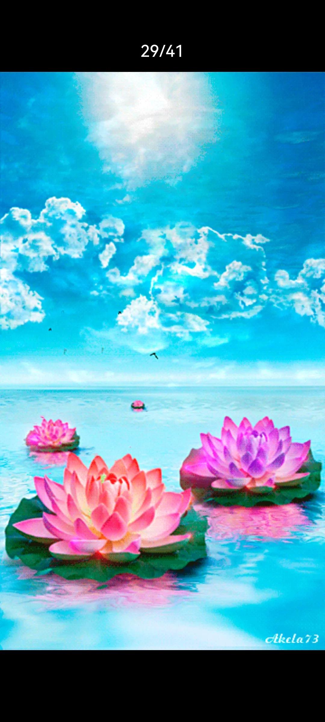 王宝钏挖野菜什么梗_王宝钏挖的野菜是什么菜