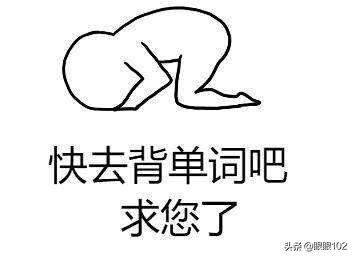 英语背单词软件_英语背单词软件免费