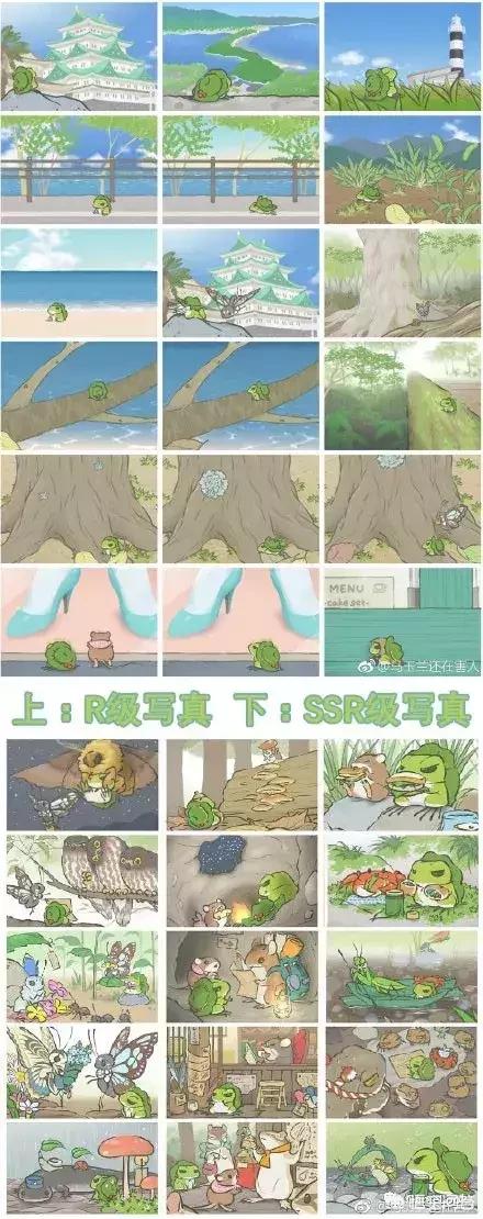 旅行青蛙 明信片_