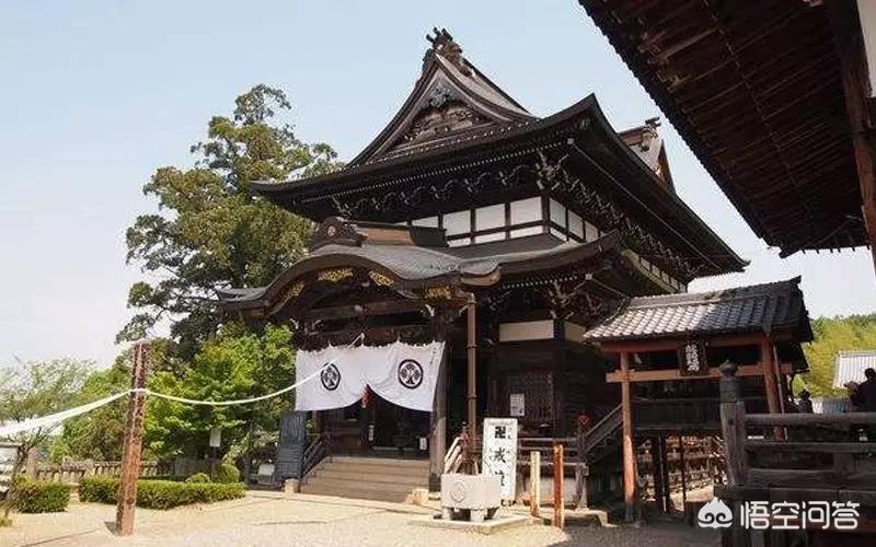旅行青蛙 明信片_
