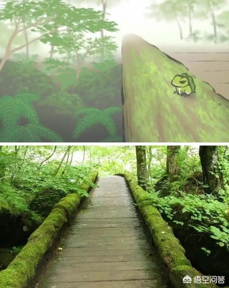 旅行青蛙 明信片_