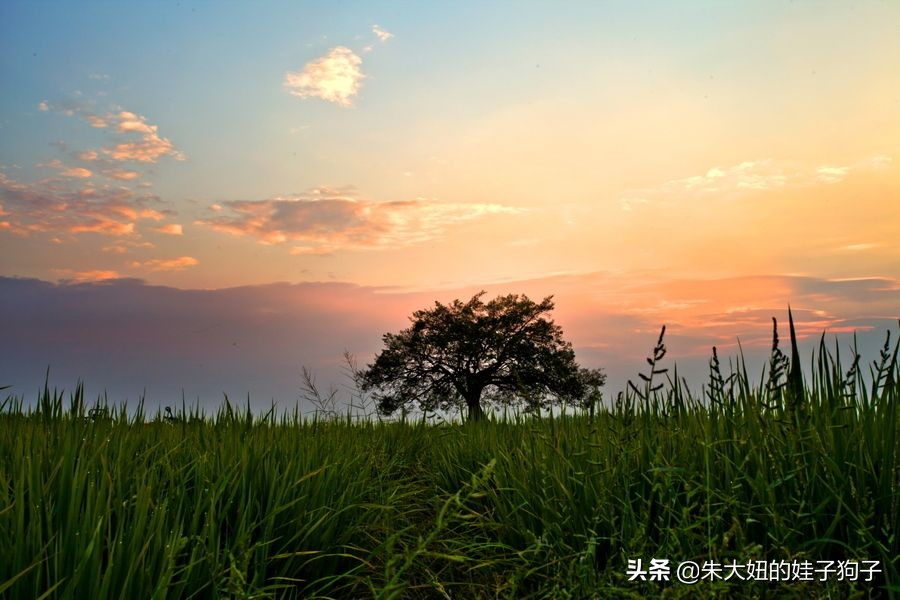 如果昨天是明天的话就好了_如果昨天是明天的话就好了那么今天就是周五了