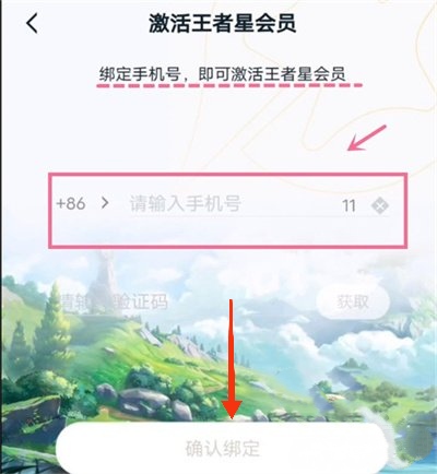 王者荣耀星会员入口_王者荣耀星会员入口在哪里