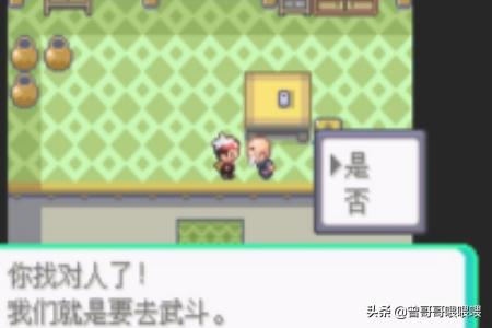 口袋怪兽漆黑的魅影攻略_口袋怪兽漆黑的魅影攻略全部