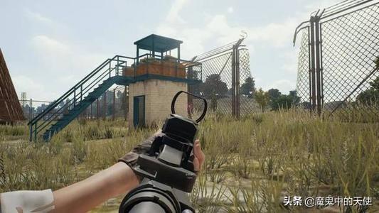 cod16多少钱_cod16多少钱可以买到
