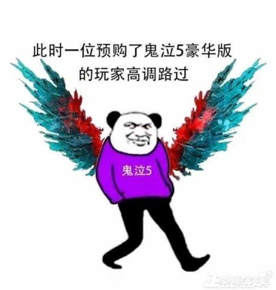 鬼泣5 修改器_鬼泣5修改器风灵月影
